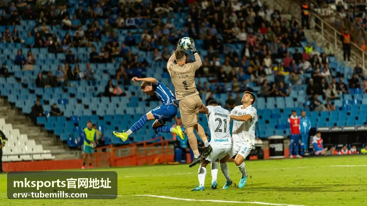 mksports官网地址 地址核对清单配图