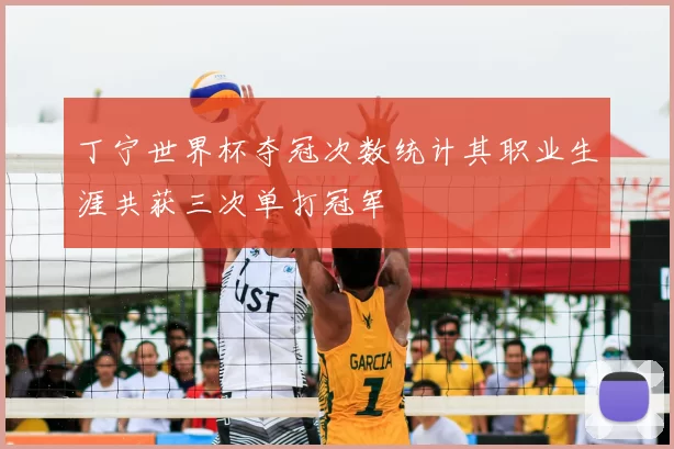 丁宁世界杯夺冠次数统计其职业生涯共获三次单打冠军