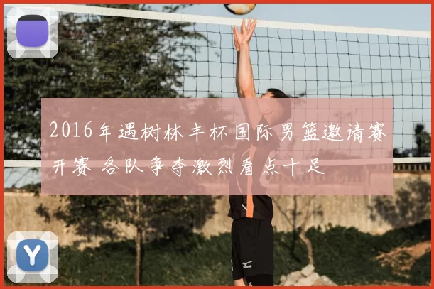 2016年遇树林丰杯国际男篮邀请赛开赛 各队争夺激烈看点十足