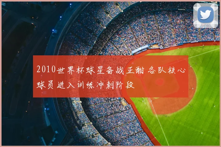 2010世界杯球星备战正酣 各队核心球员进入训练冲刺阶段